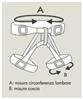 CLIMBING TECHNOLOGY ASCENT IMBRAGATURA PER L`ALPINISMO E L` ARRAMPICATA SU GHIACCIO